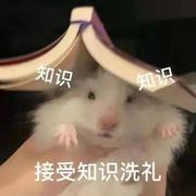 反方向的暗号的个人资料头像