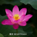 用户3192590758845头像