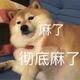 北纬三十度云头像