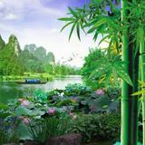 用户8395436049810头像