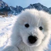 f的个人资料头像