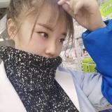 雅丽566头像