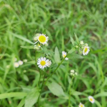 社会故事EieK头像