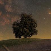 橘子没有海的个人资料头像