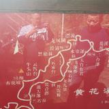 勇敢的心32263头像