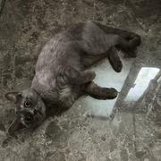 tomato_sir的个人资料头像