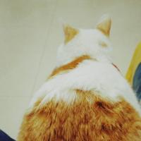 小小雨点点点点点点点头像