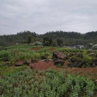 人生与电路头像