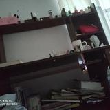 傻叉酸酸乳头像