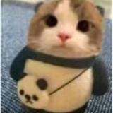 用户8013852412806头像