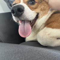 用户1423835377013头像