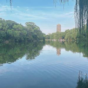 陈萌宝日记头像