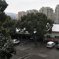 海274983058头像