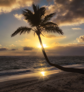 我的小明叫胜利的个人资料头像