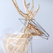 纸飞机3778的个人资料头像