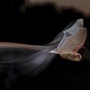 hqzh的个人资料头像