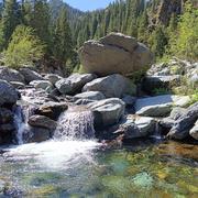 码农突围NO1的个人资料头像