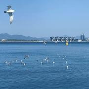 LCH98的个人资料头像