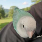 Lewisel的个人资料头像