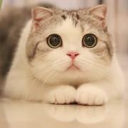 Lilililim的个人资料头像