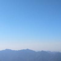 在娱而不在鱼头像