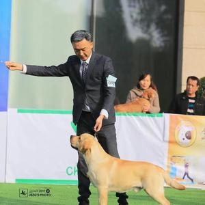 地中海犬舍的鹏哥头像