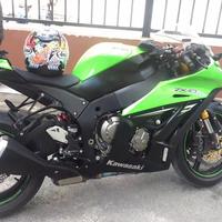 积极的友爱山雀3K头像