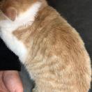 piu的个人资料头像