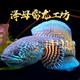 泽母雷龙工坊 · 本田XR-V车主·车龄3年头像