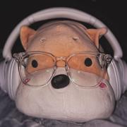 kkkS的个人资料头像