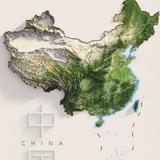 小苏蔬菜头像