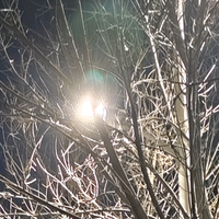 体育big世界头像