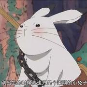 Ly本尊17104的个人资料头像