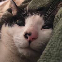 尹南风风风风头像