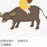 顾光春头像