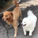 油面君的个人资料头像