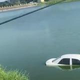 热情的不凡的用户头像