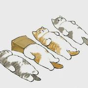 干杯97的个人资料头像