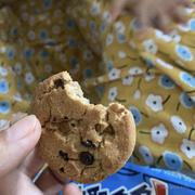 等你呦的个人资料头像
