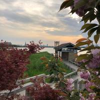 赵蜀黍阿鹏头像