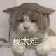 行止由心头像