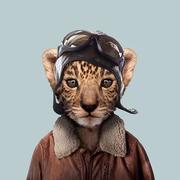 关关9966的个人资料头像