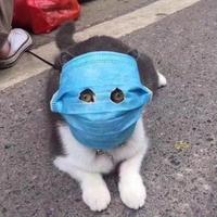 钛头像