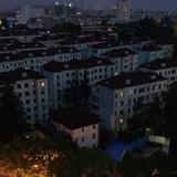 自由百香果666头像