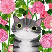 猫咪染七雪的个人资料头像