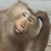 Wall_E的个人资料头像