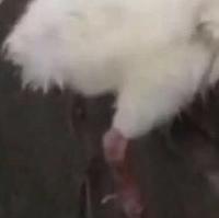 热闹阳光YYd头像