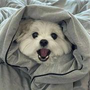 用户1091208563798的个人资料头像