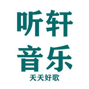 听轩音乐头像