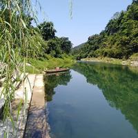 兰草花3766头像